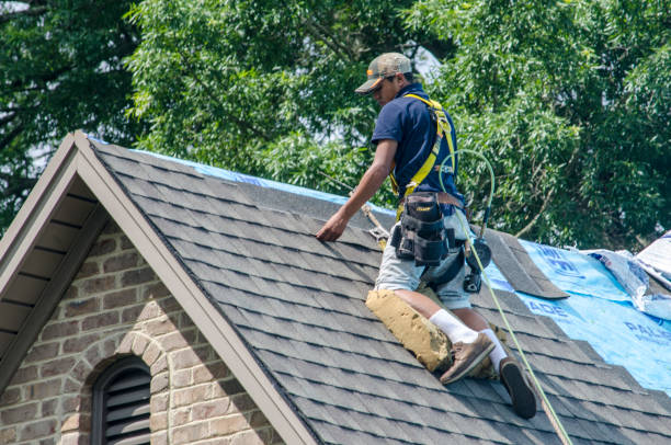 Best New Roof Installation  in Sault Ste Marie, MI